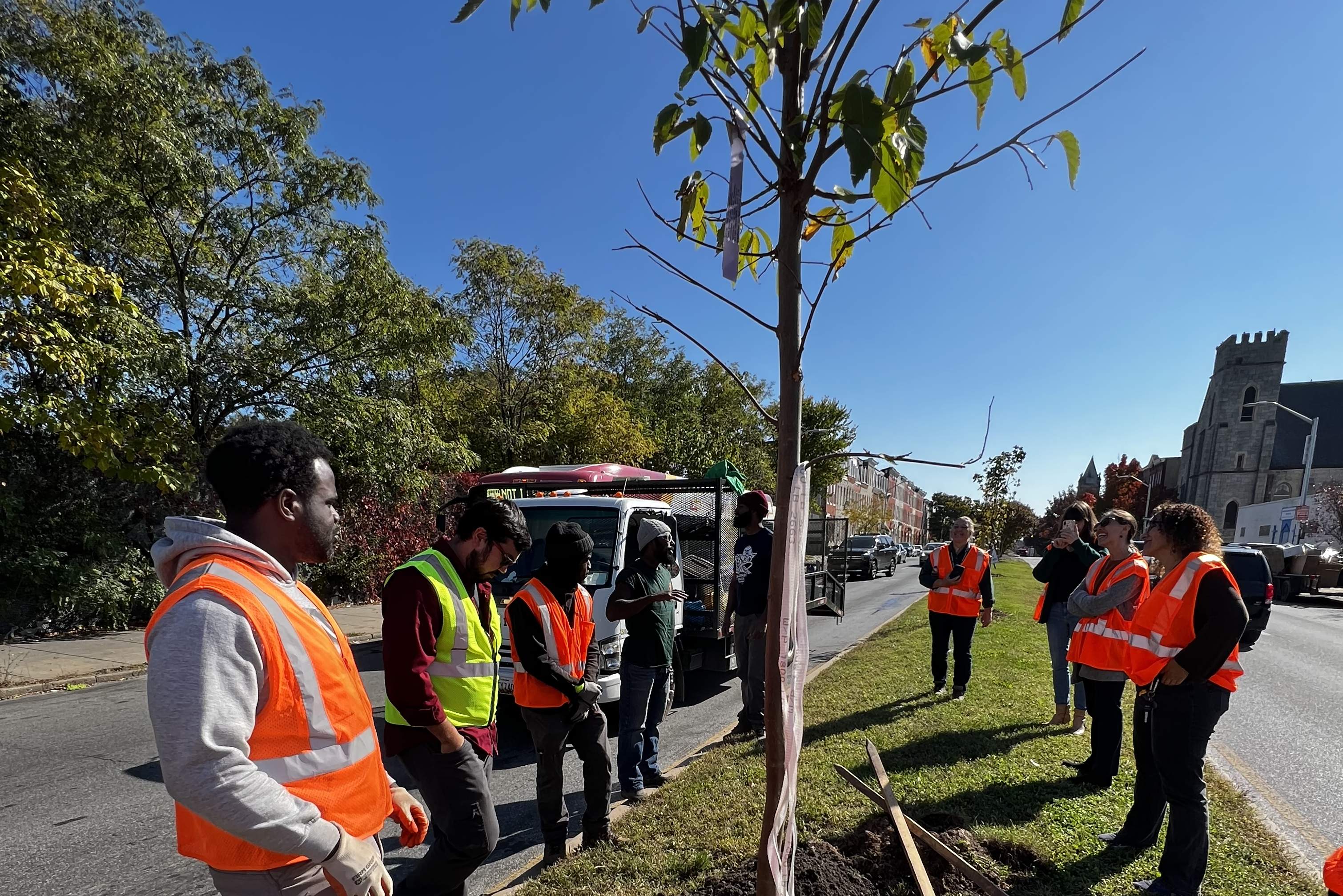 Planting Trees in Baltimore City